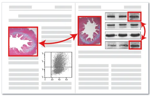 图片重复检测示例