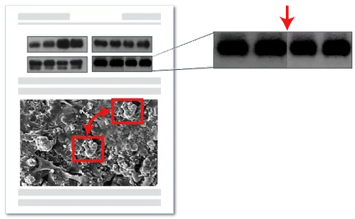 图片篡改检测技术