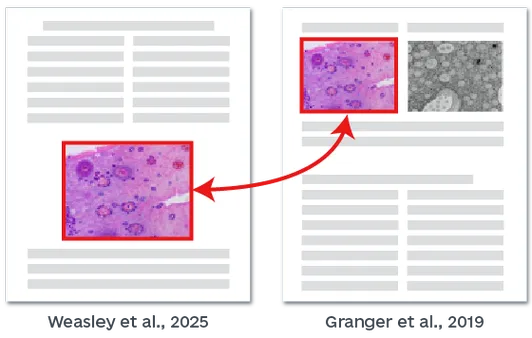 图片查重原理示意图