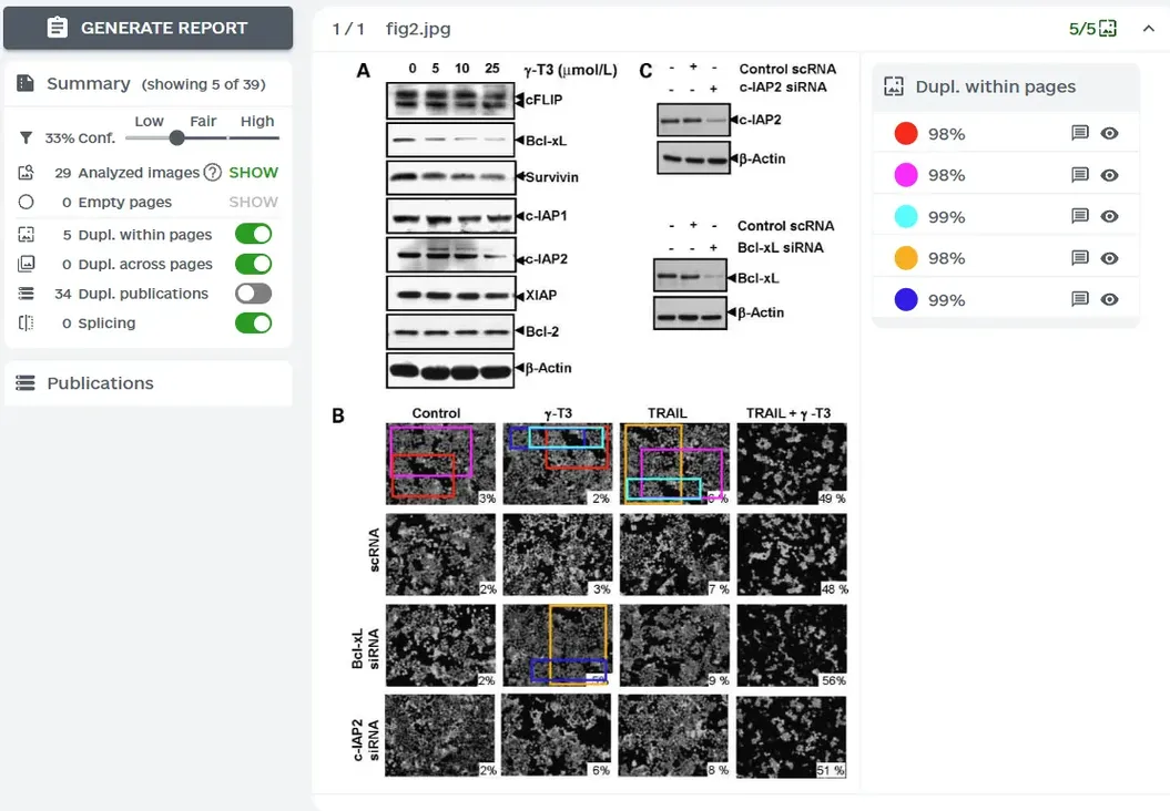 ImageTwin查重报告示例